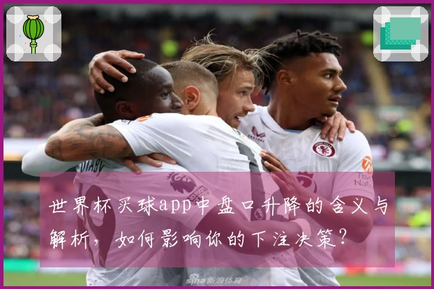 世界杯买球app中盘口升降的含义与解析，如何影响你的下注决策？