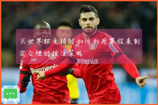 买世界杯竞猜时如何利用赛程表制定合理的投注策略