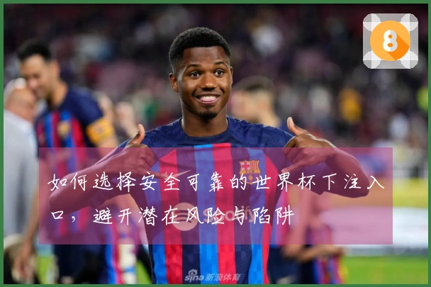 如何选择安全可靠的世界杯下注入口，避开潜在风险与陷阱