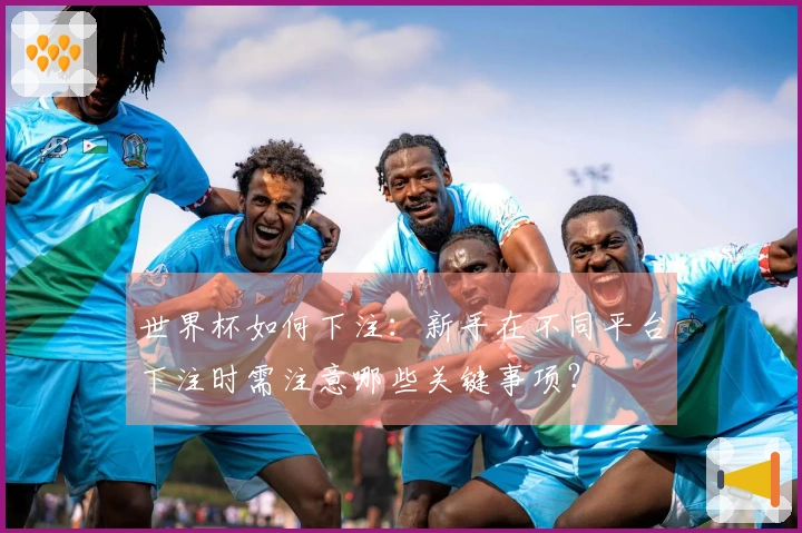 世界杯如何下注：新手在不同平台下注时需注意哪些关键事项？